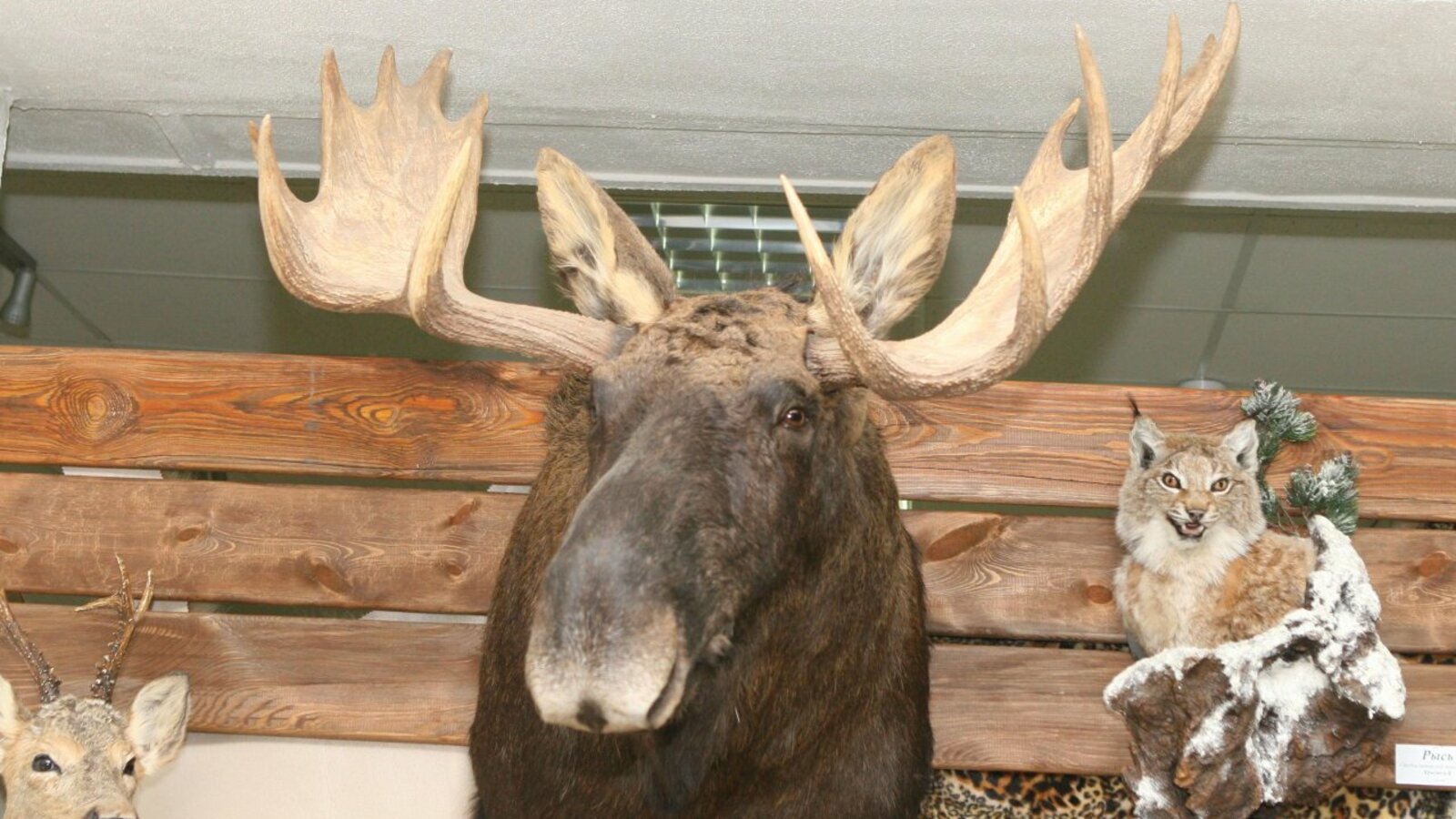 Олег Яровиков