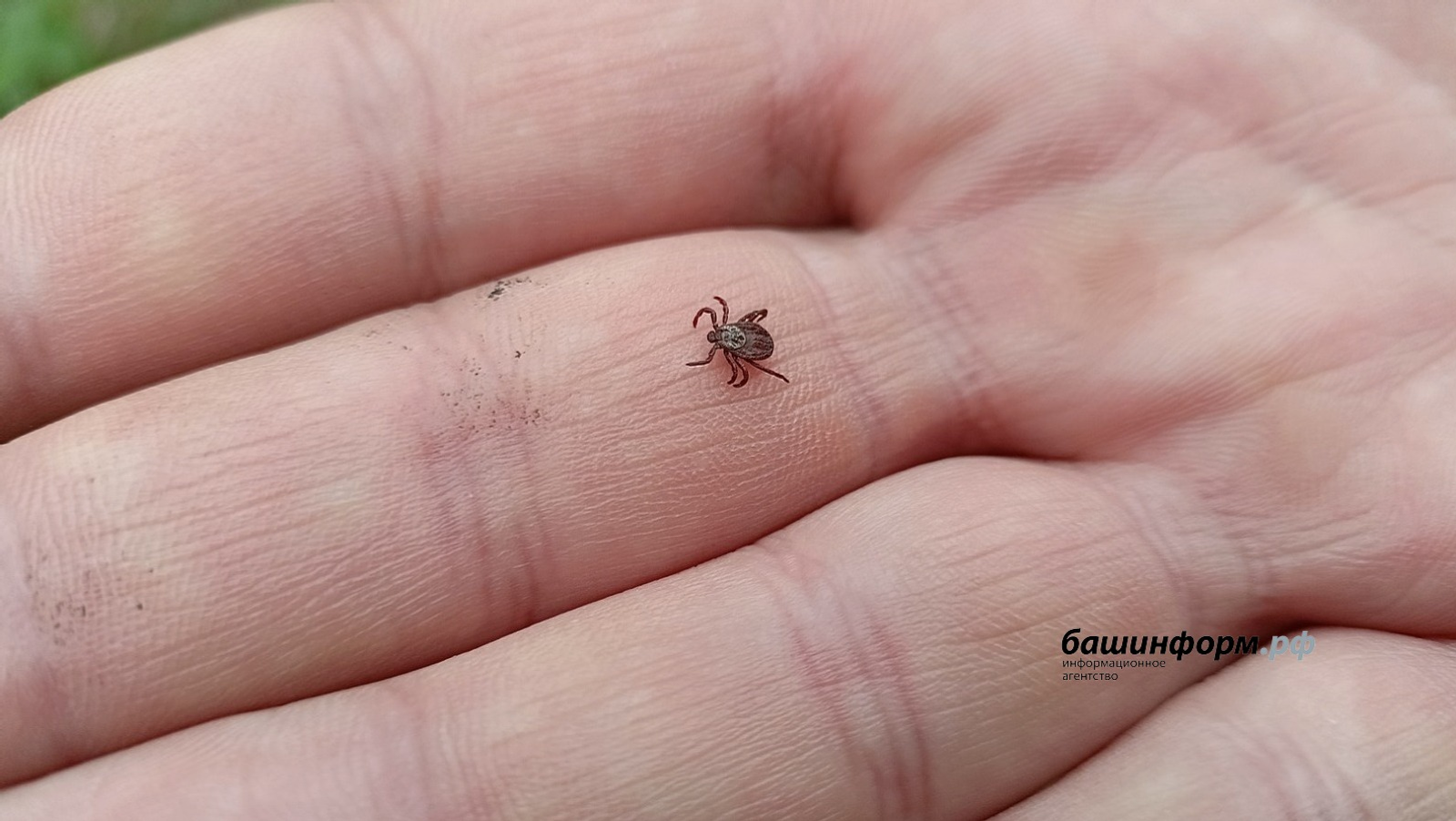 Валерий Шахов | «Башинформ» мәғлүмәт агентлығы архивы