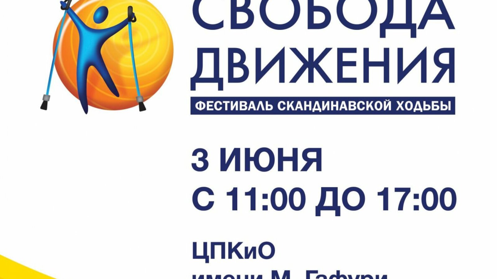 Организаторы