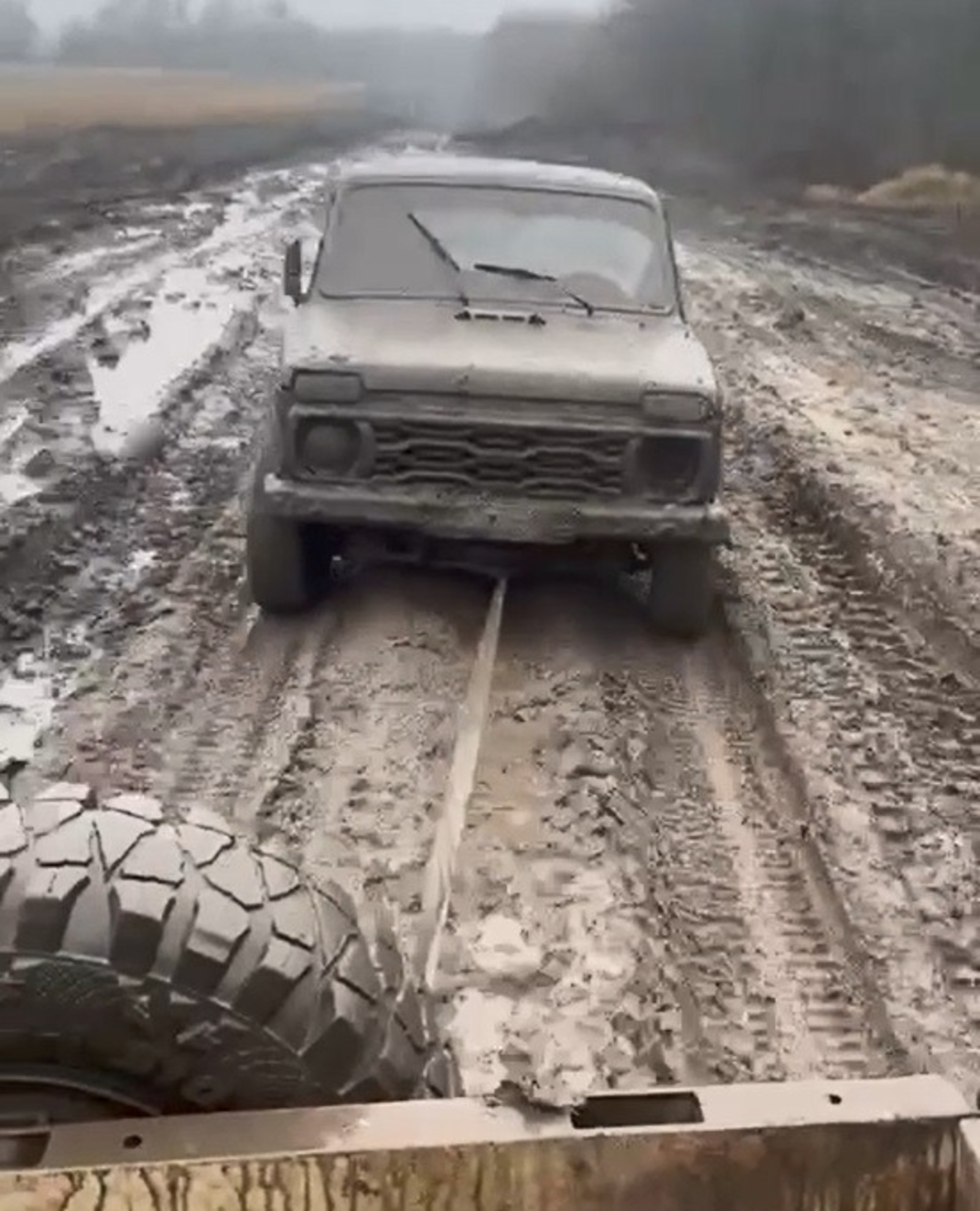 стоп-кадр видео  соцсети