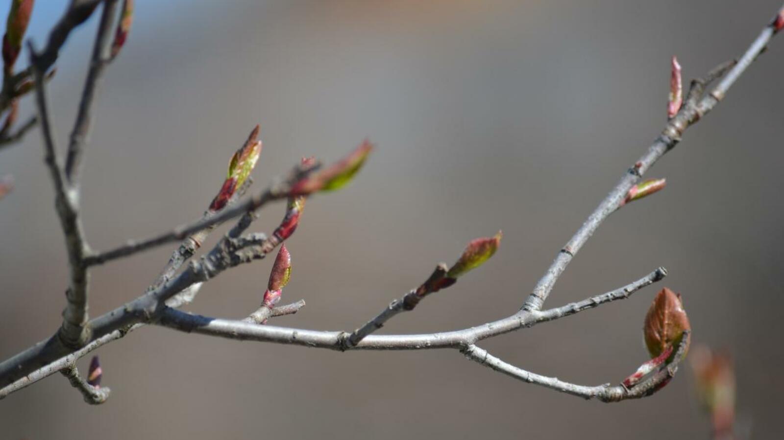 Ксения Калинина