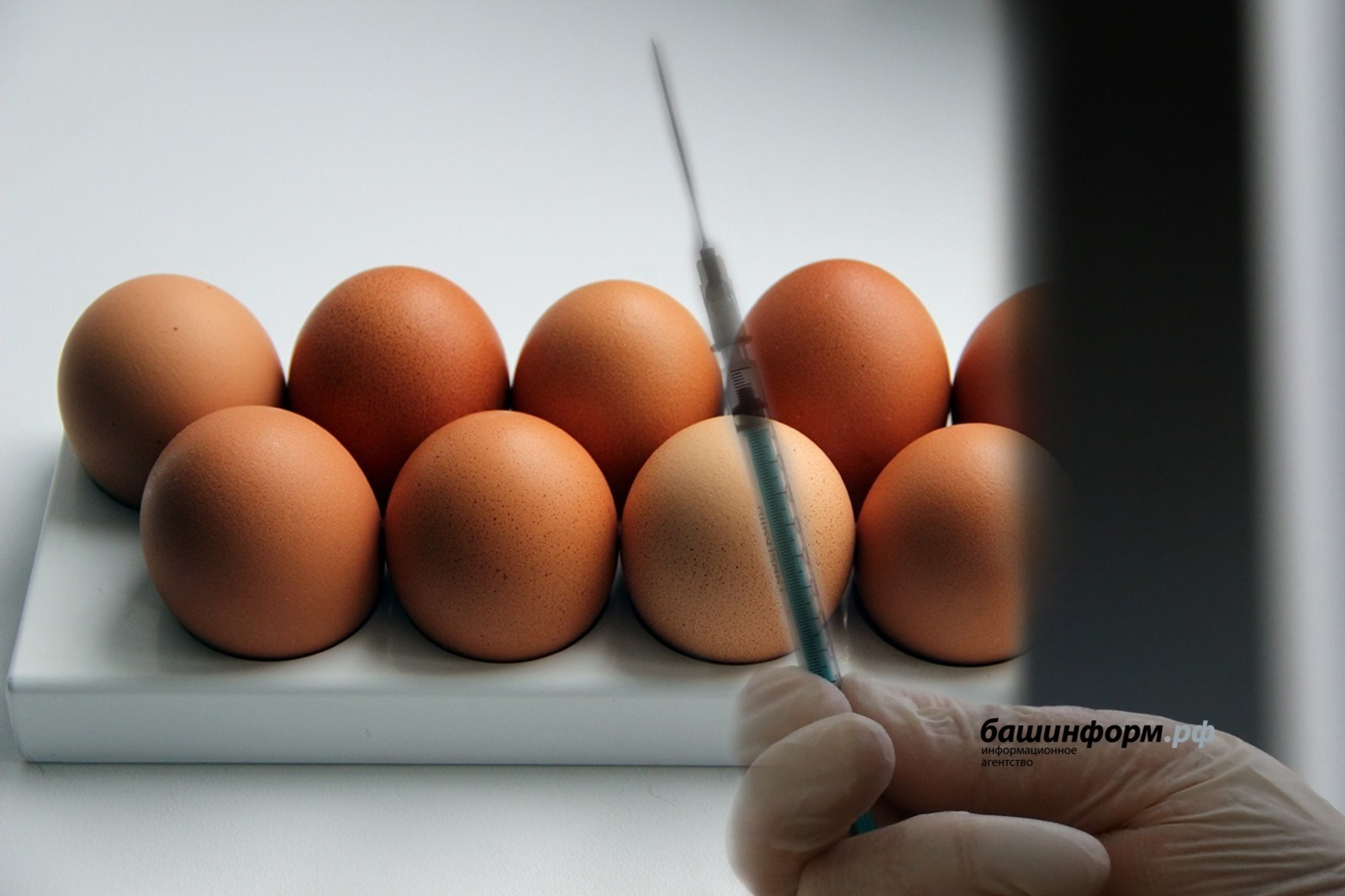 «Башинформ» мәғлүмәт агентлығы