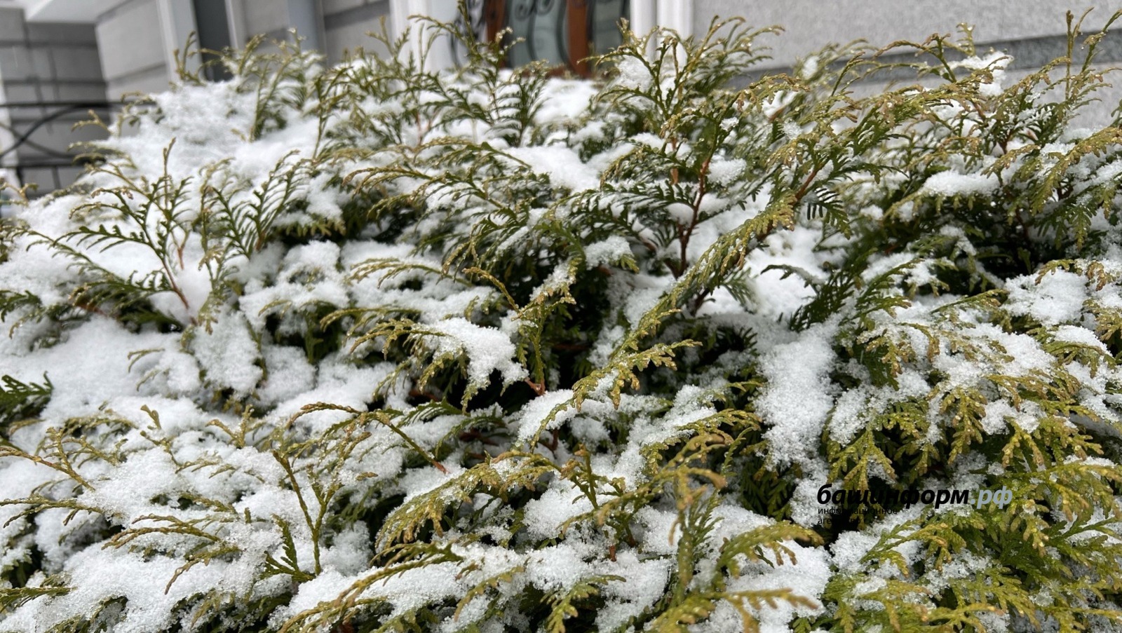 Ксения Калинина ИА Башинформ