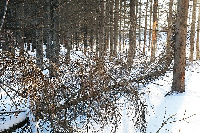 Пресс-служба Администрация г. Уфы