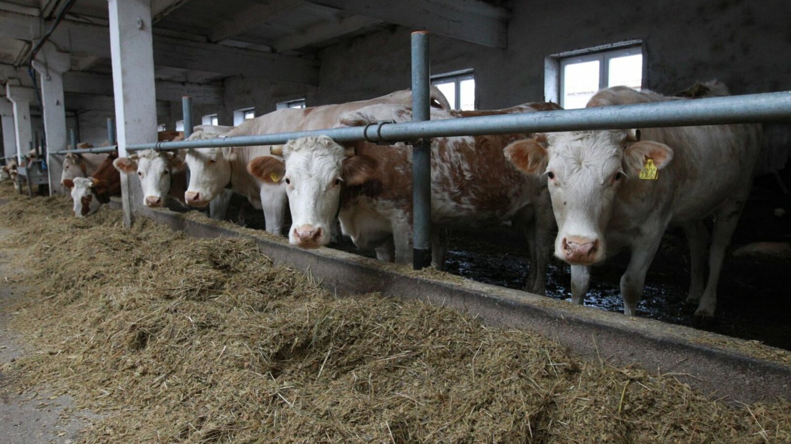 Олег Яровиков