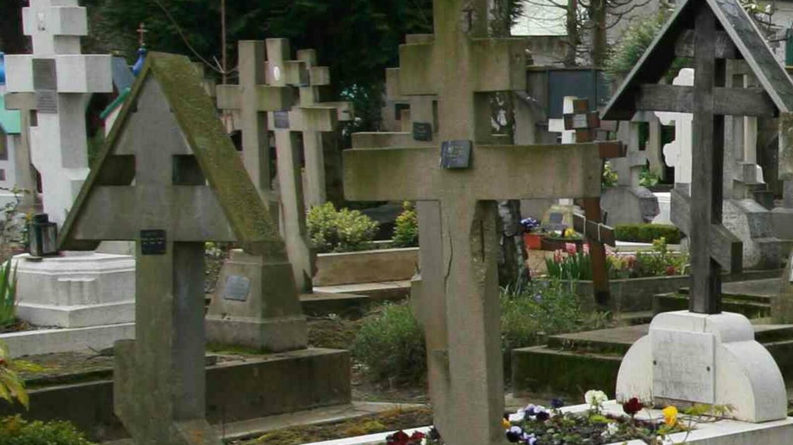 ИА «Башинформ»