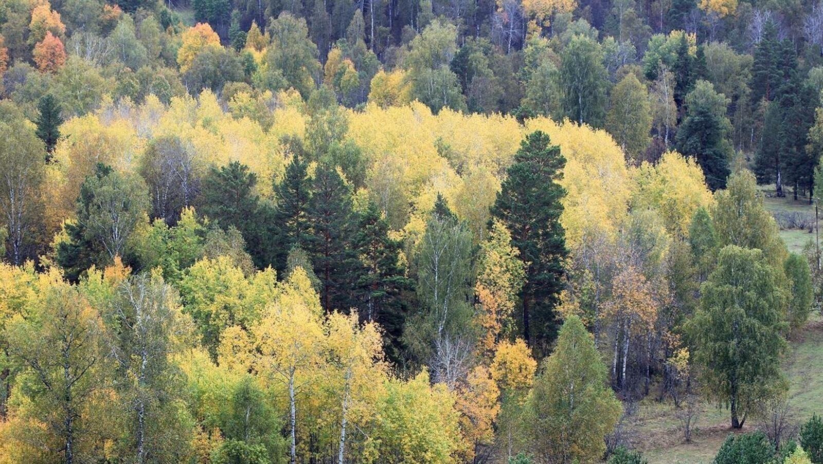 ИА «Башинформ» архив