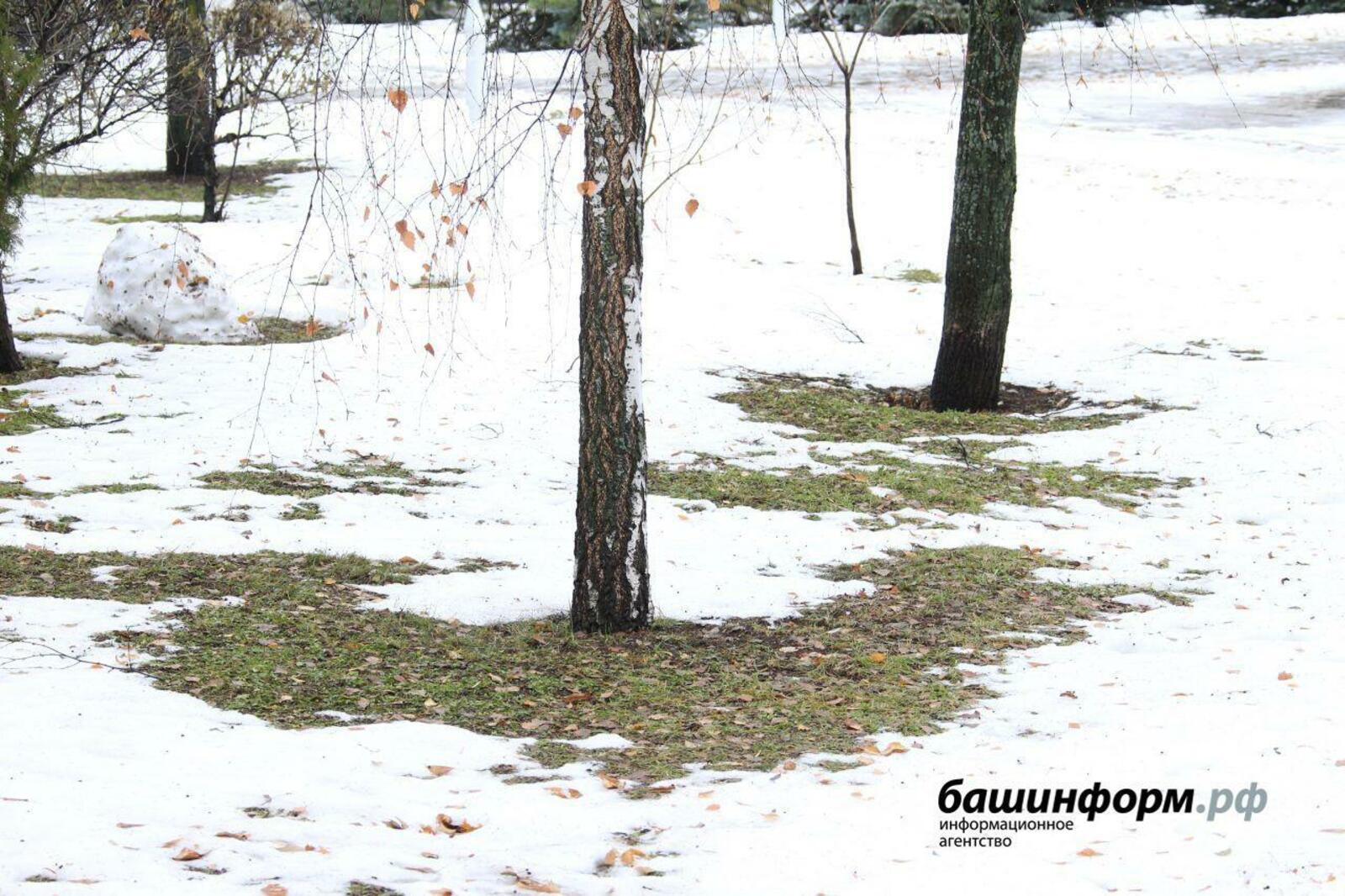 «Башинформ» мәғлүмәт агентлығы