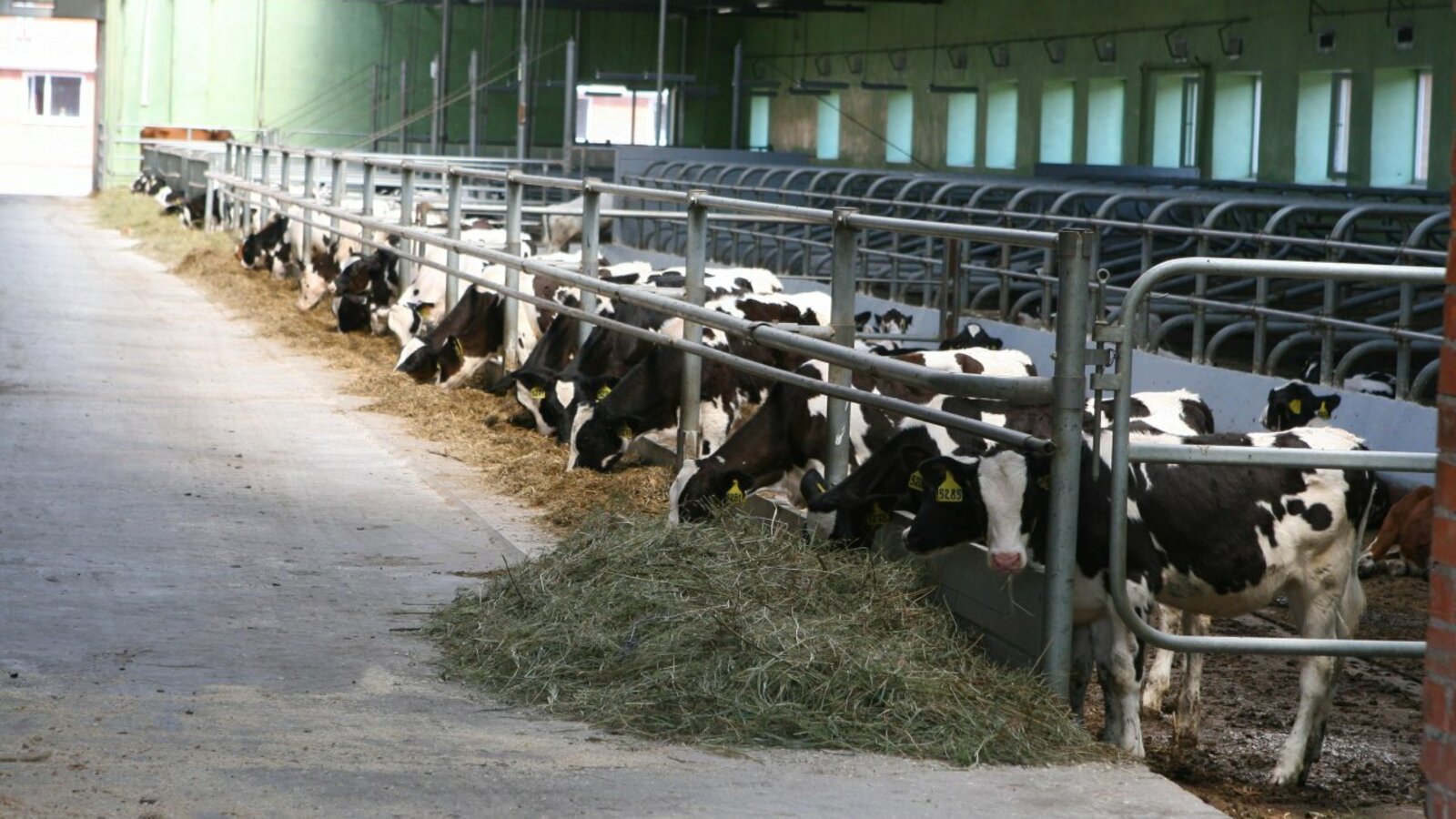 Андрей Старостин