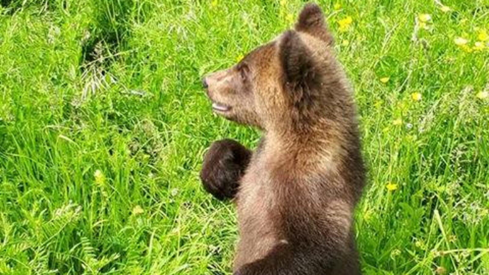 Владимир Кузнецов, Национальный парк «Башкирия»