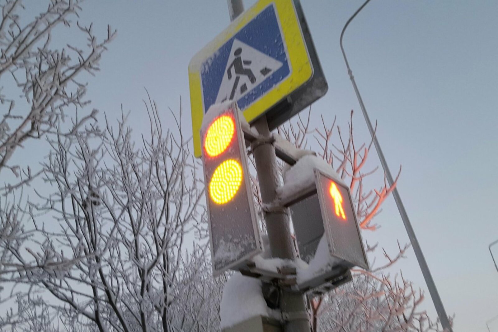 fad.karelia.ru