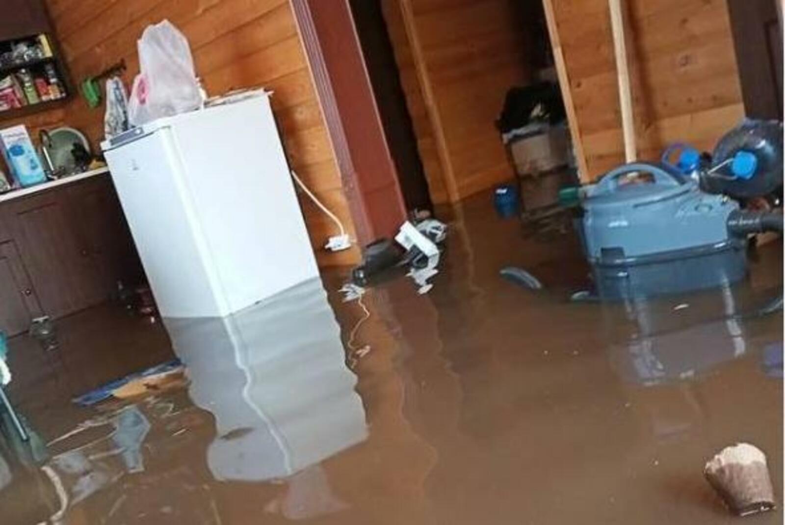 скриншот видео