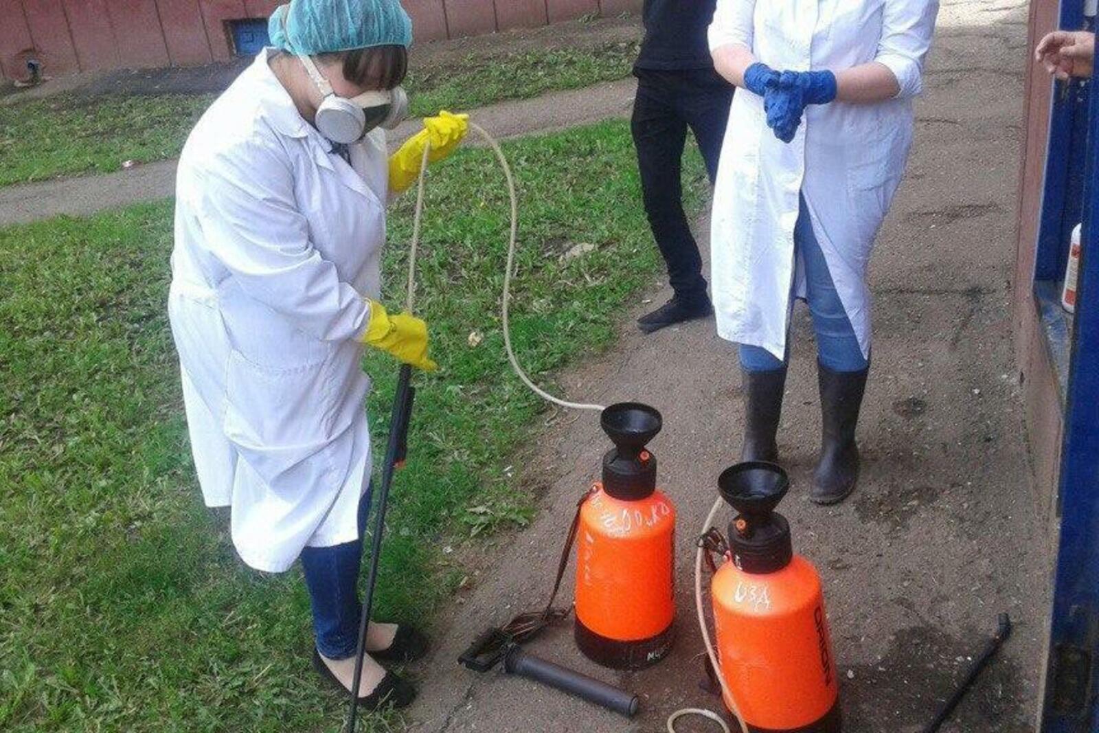 Из открытых источников