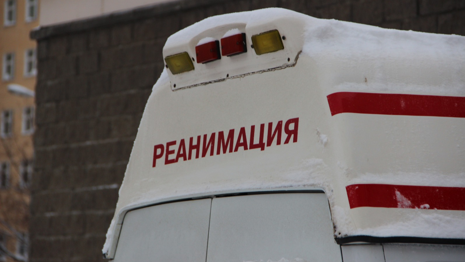 Ксения Калинина