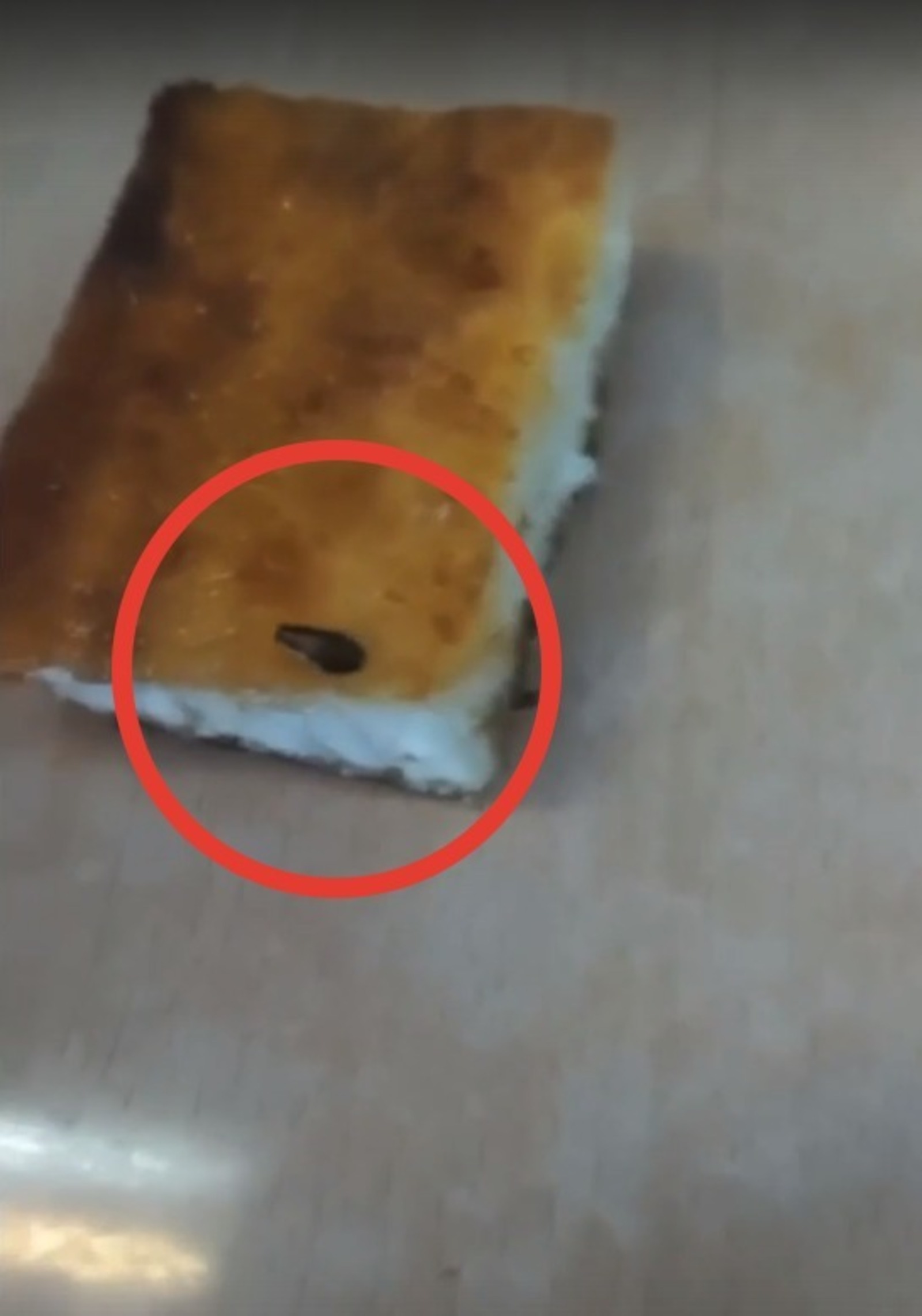 скриншот видео