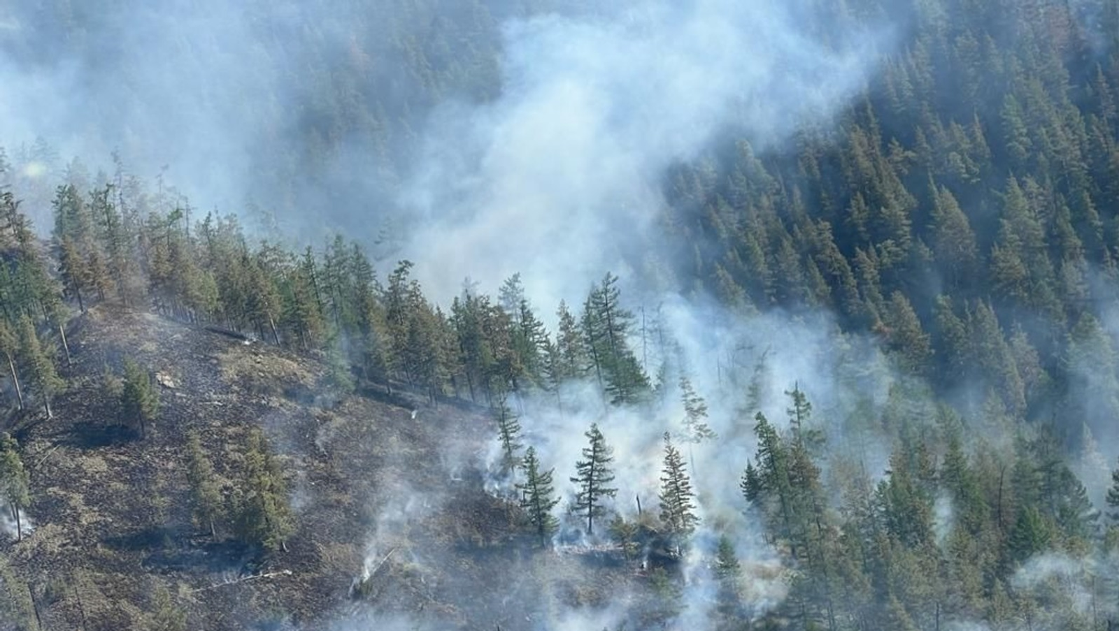 Башҡортостандың Ғәҙәттән тыш хәлдәр буйынса дәүләт комитеты