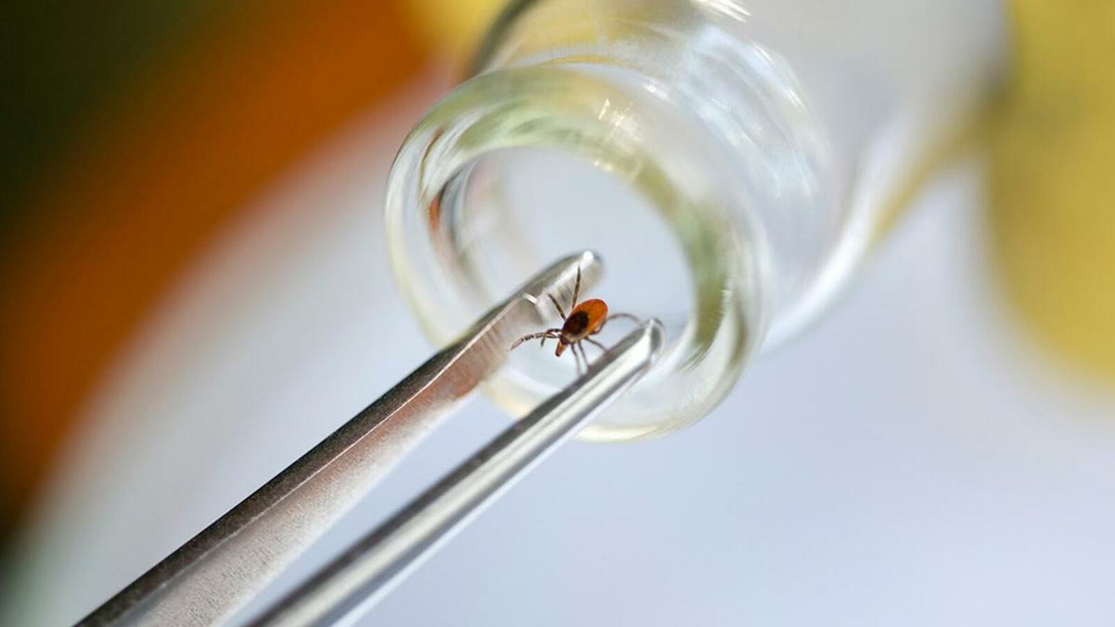 ИА «Башинформ»