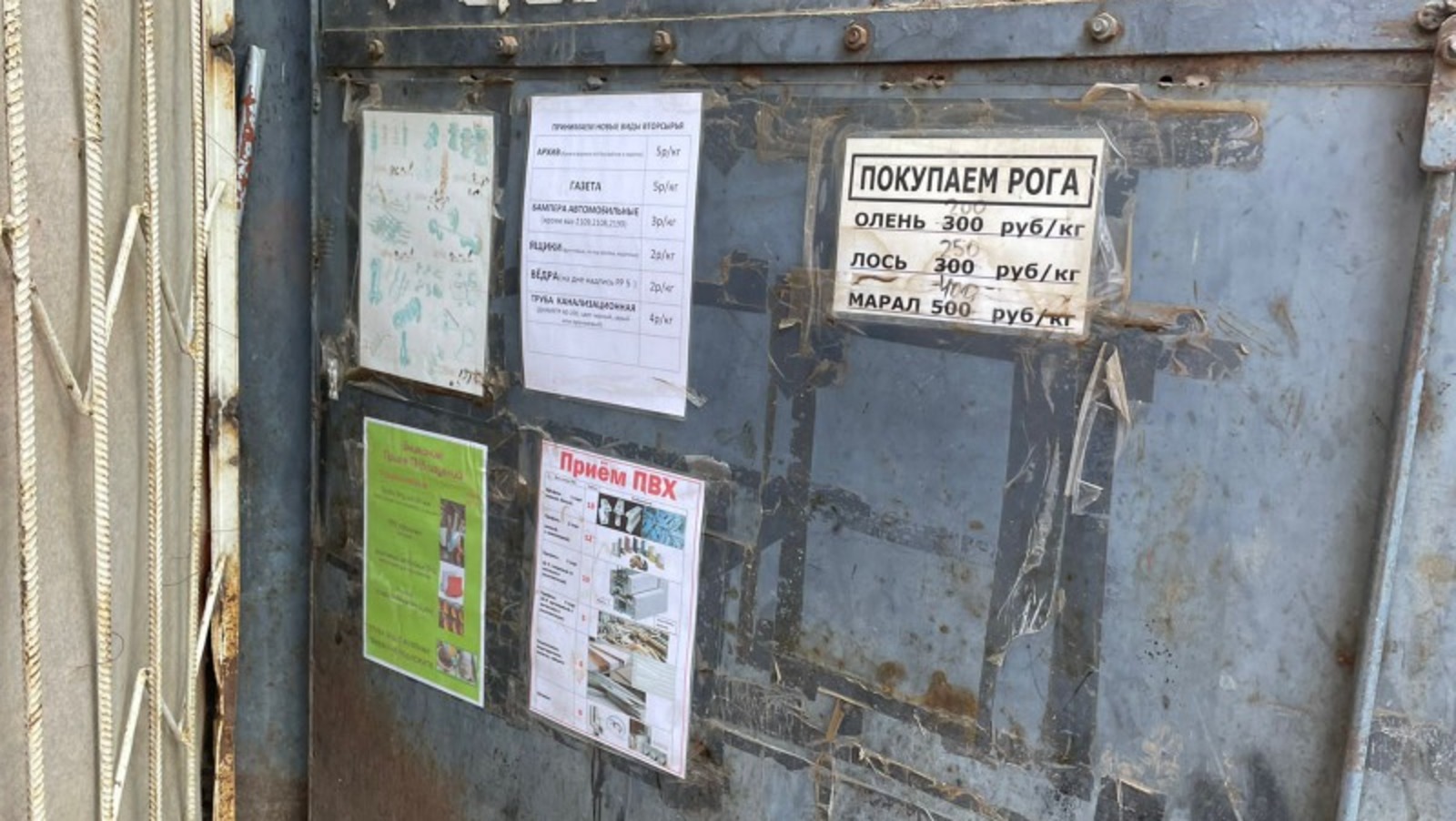 ОНФ по РБ