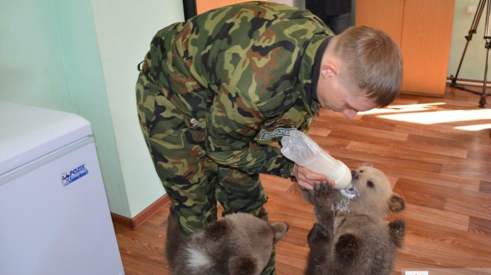 сайт администрации города
