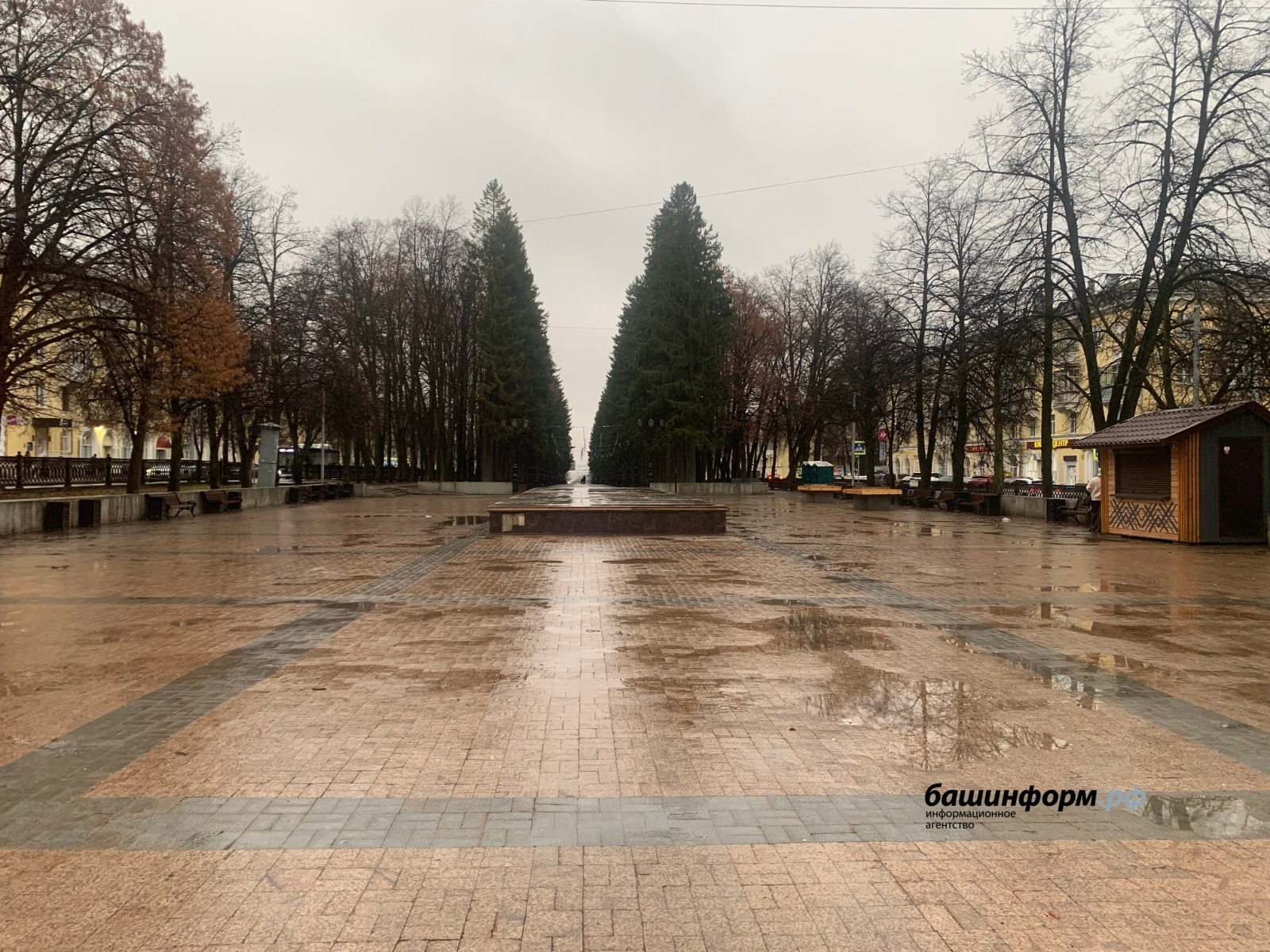 Галина Бахшиева "Башинформ"