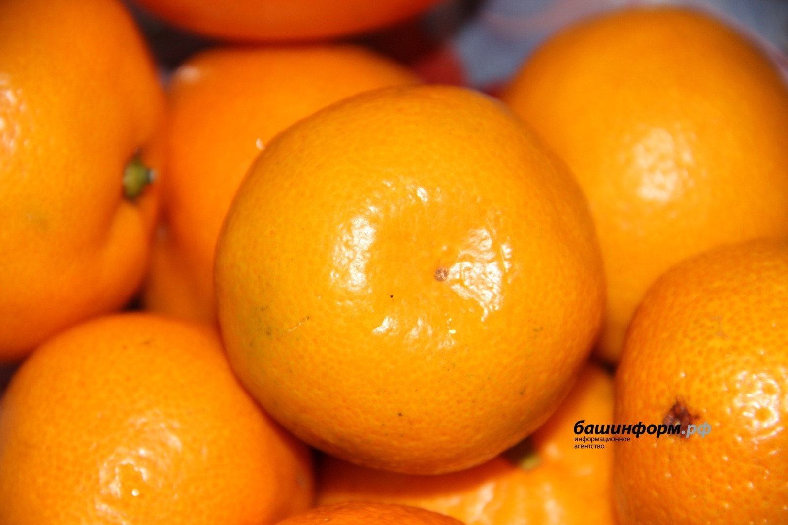 Imported fruits and vegetables to Bashkortostan in 2025 has been reported