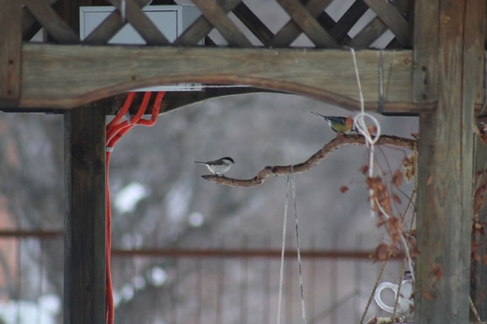 нацпарк «Башкирия» ТГ- канал