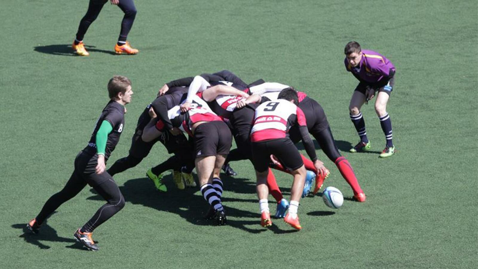 Федерация регби