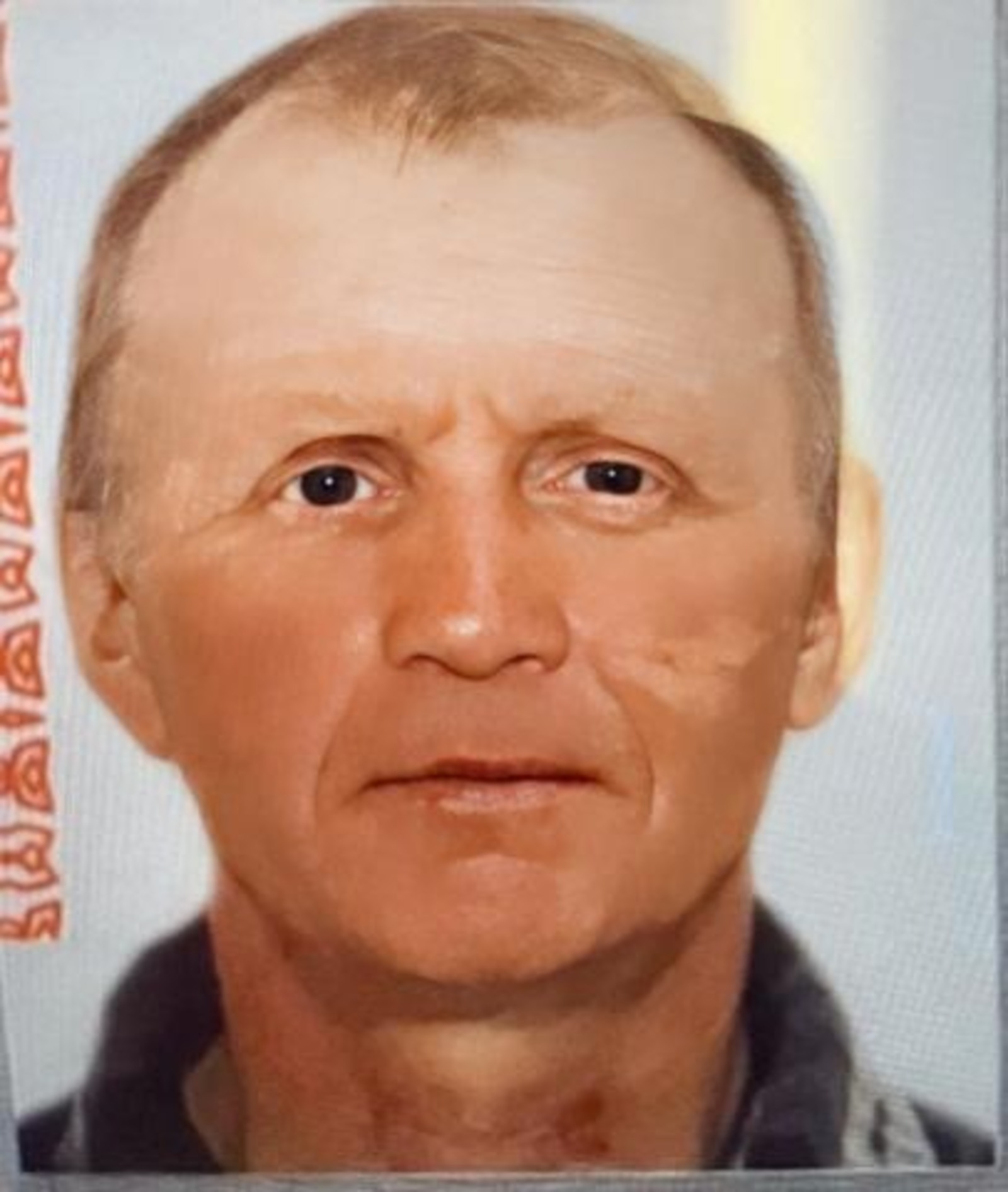 Лиза Алерт соцсети