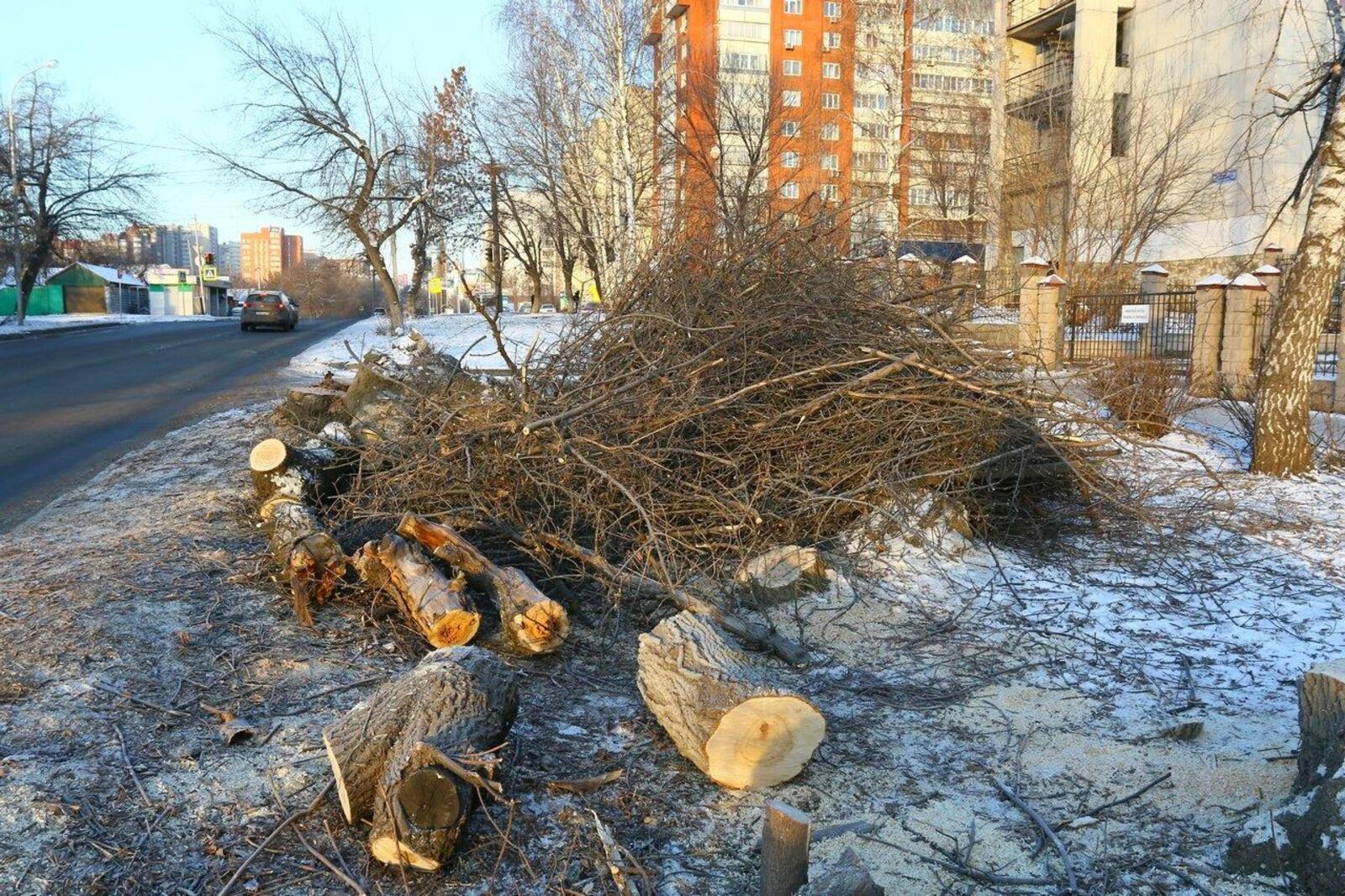 Валерий Шахов