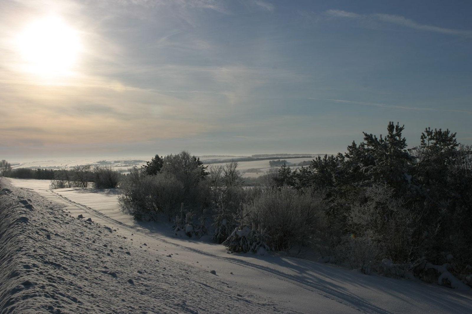 Андрей Старостин