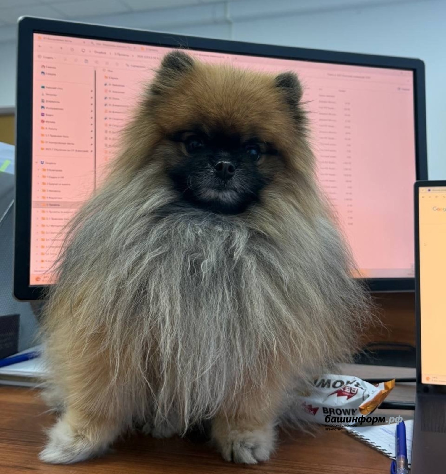 Hundreds of new professions have been officially recognized in Russia