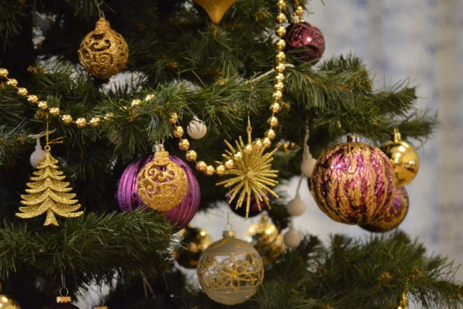 Ксения Калинина