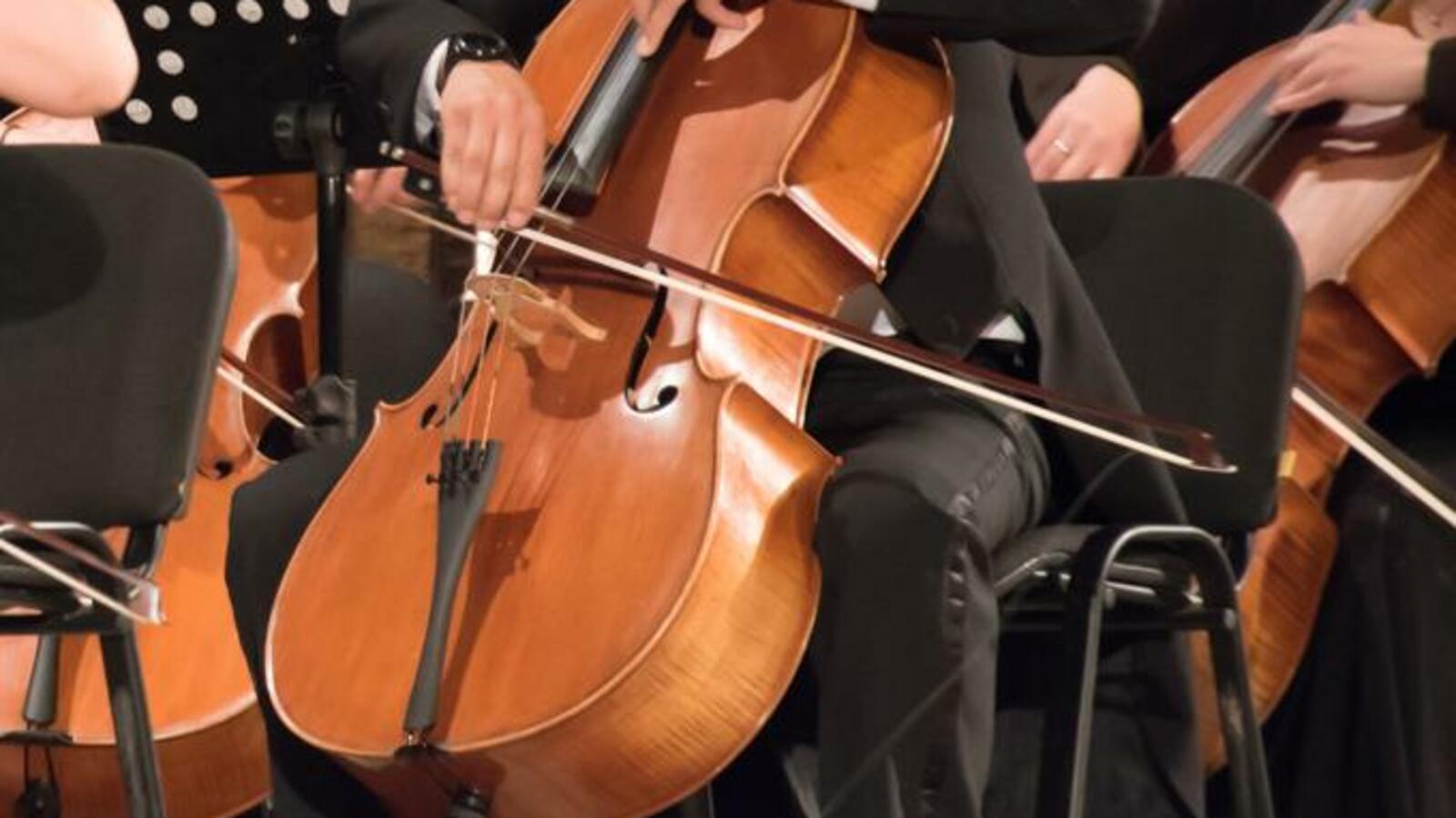 Георгий Шишкин