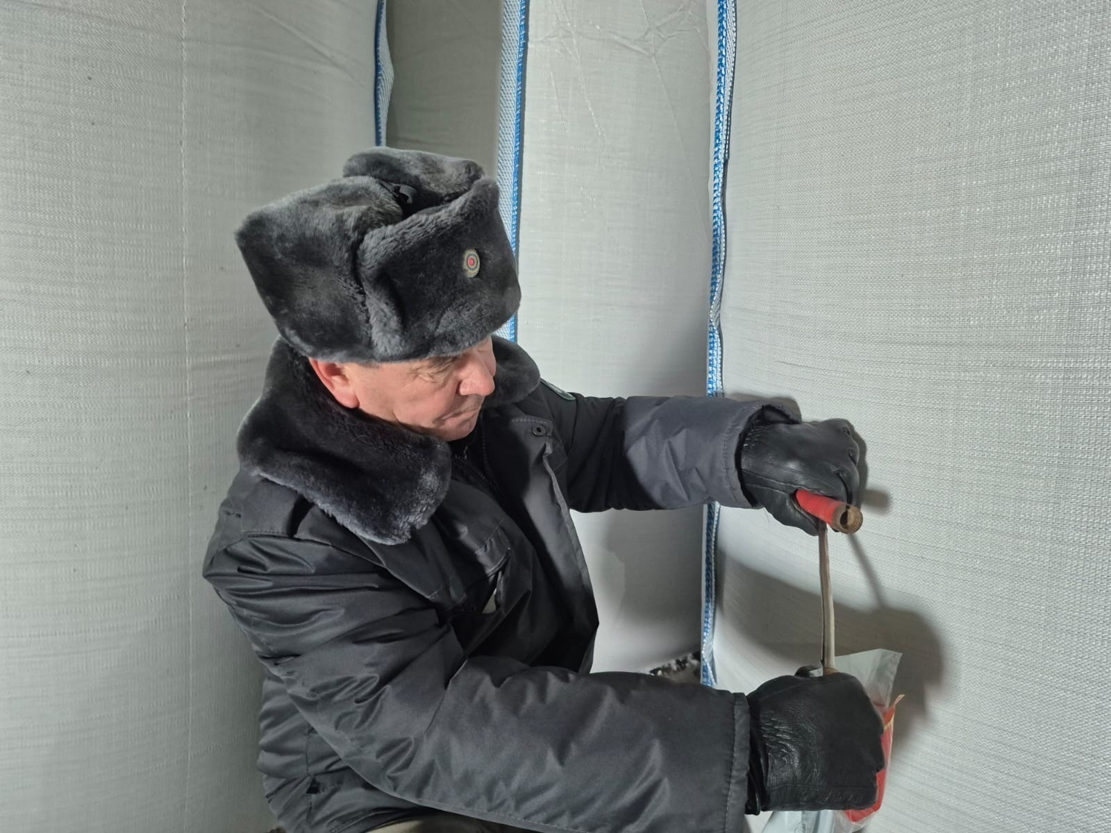 Bashkir barley is in demand in Kazakhstan.