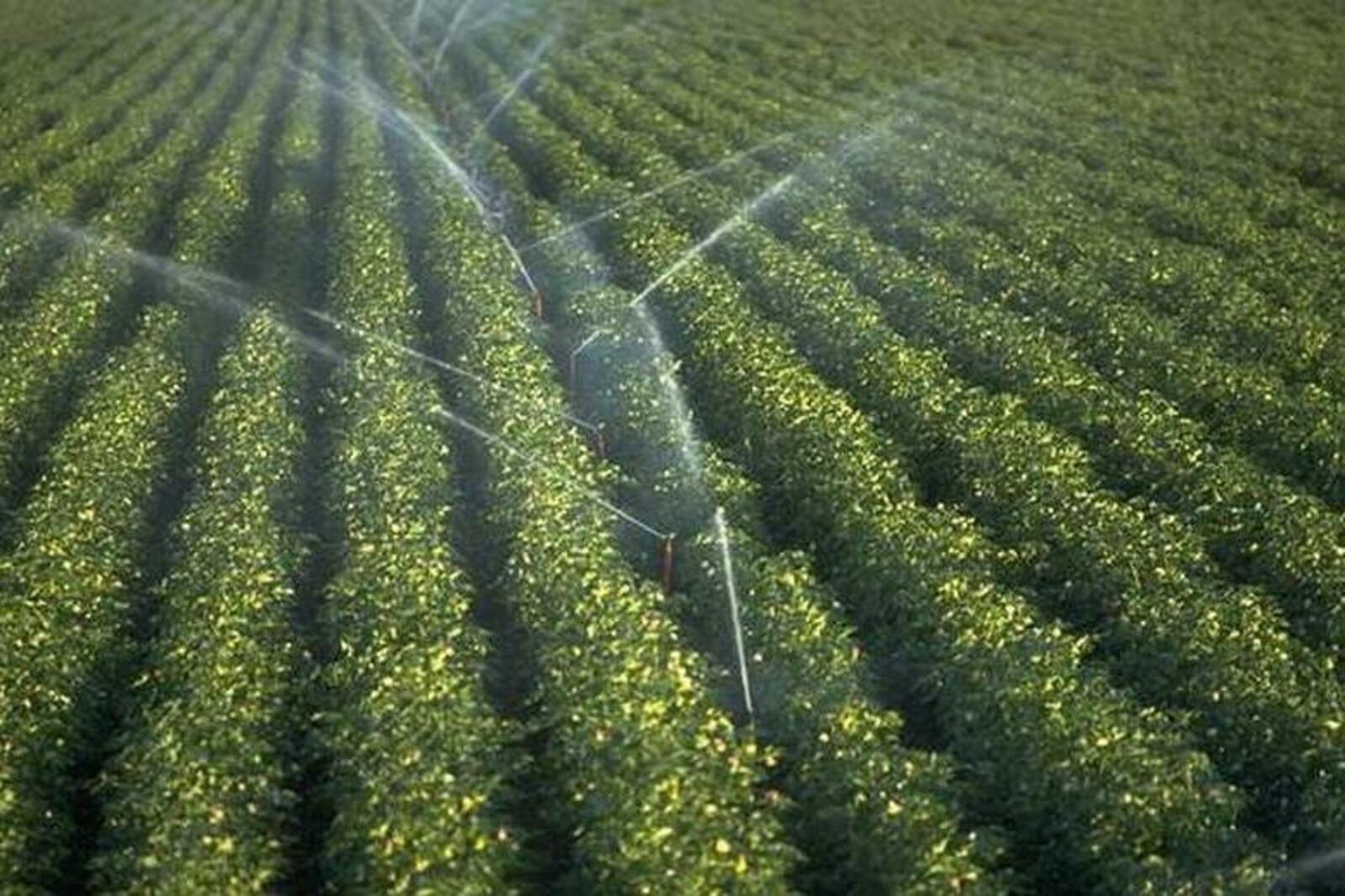 agri-news.ru