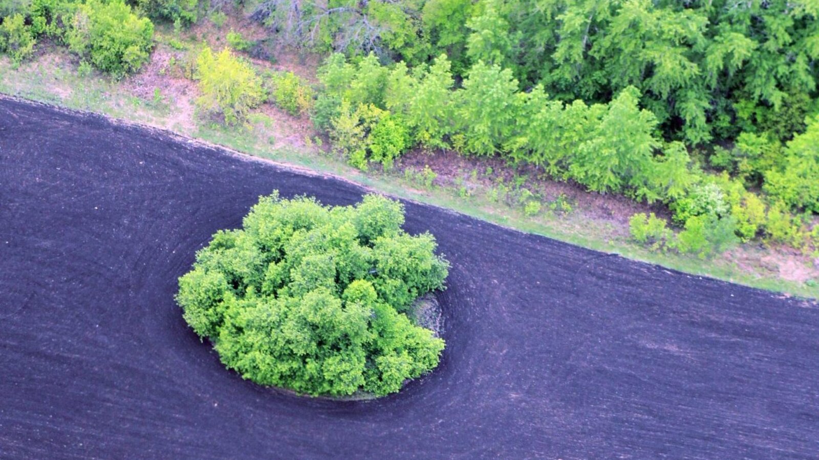 ИА «Башинформ»