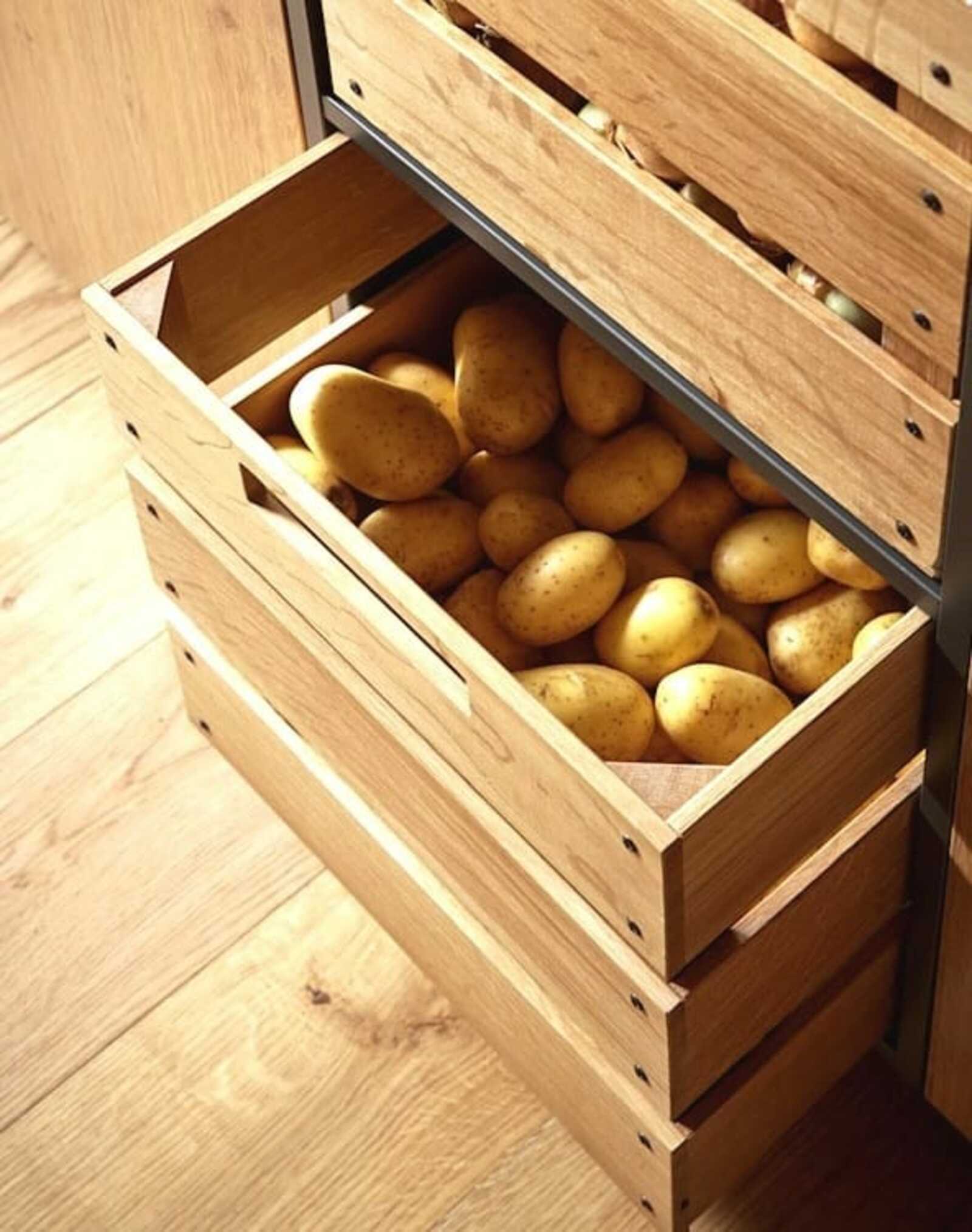 Как правильно  хранить картофель в квартире?