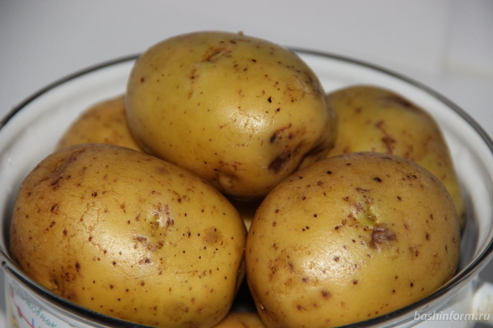 «Башинформ» мәғлүмәт агентлығы