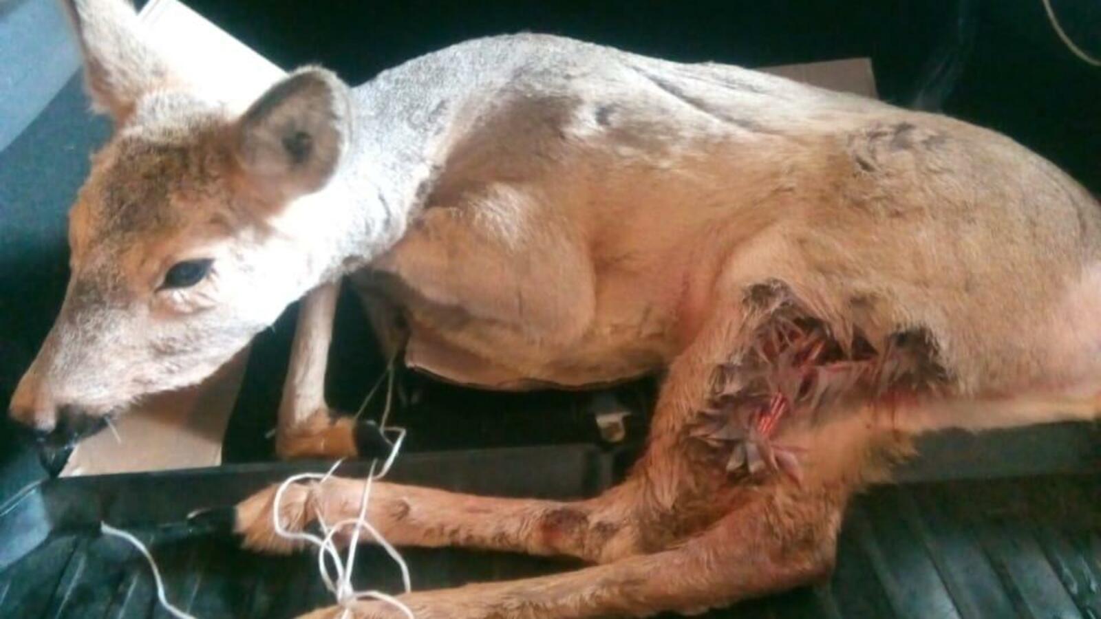 Минэкологии РБ