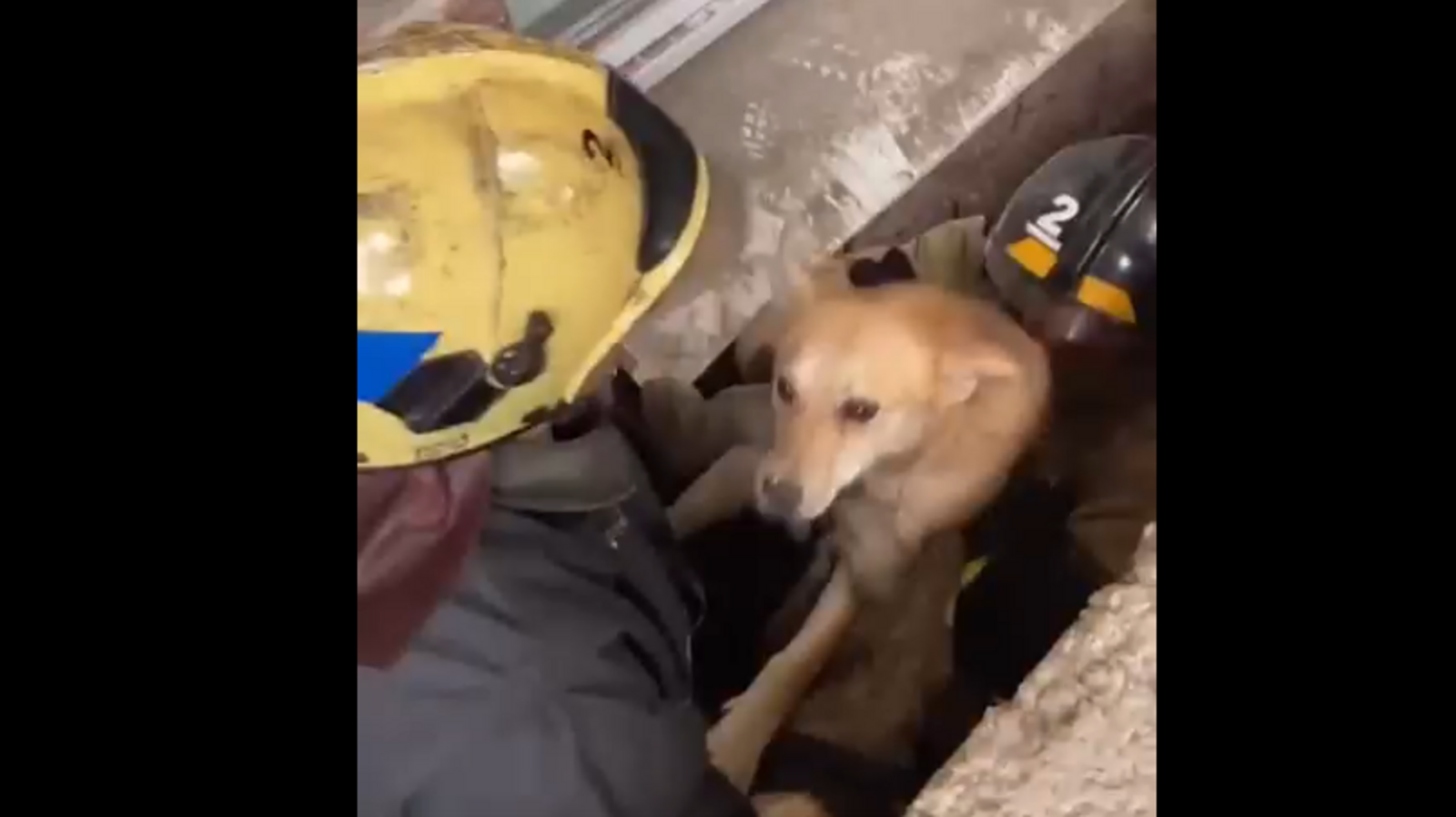 Стоп-кадр видео