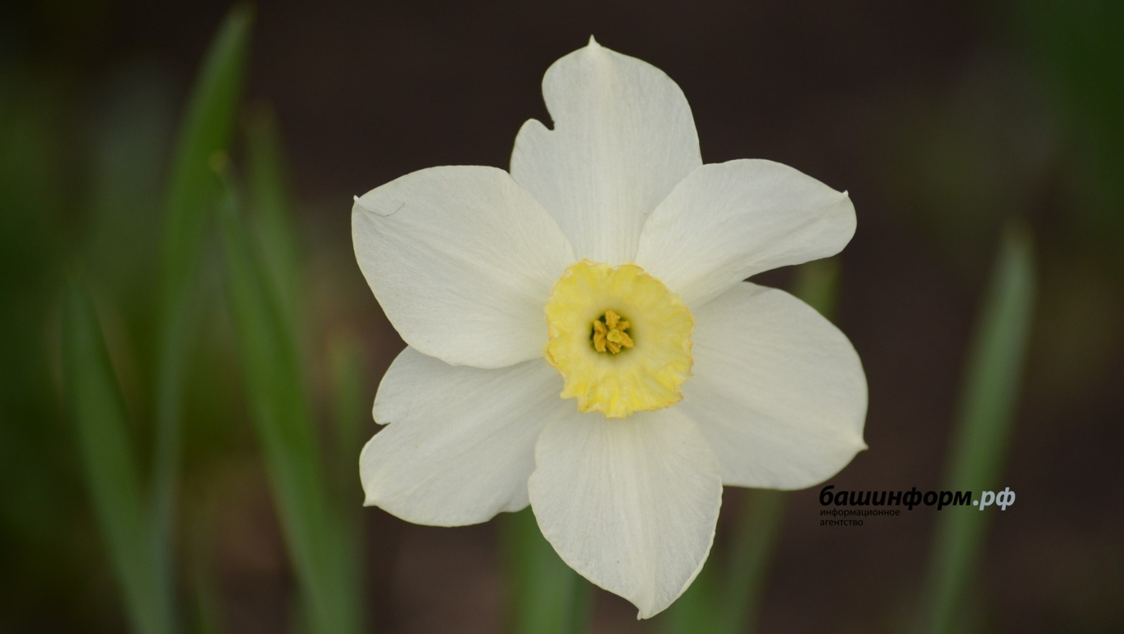 Ксения Калинина