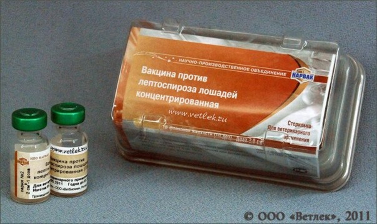 пресс-служба Россельхознадзора по РБ