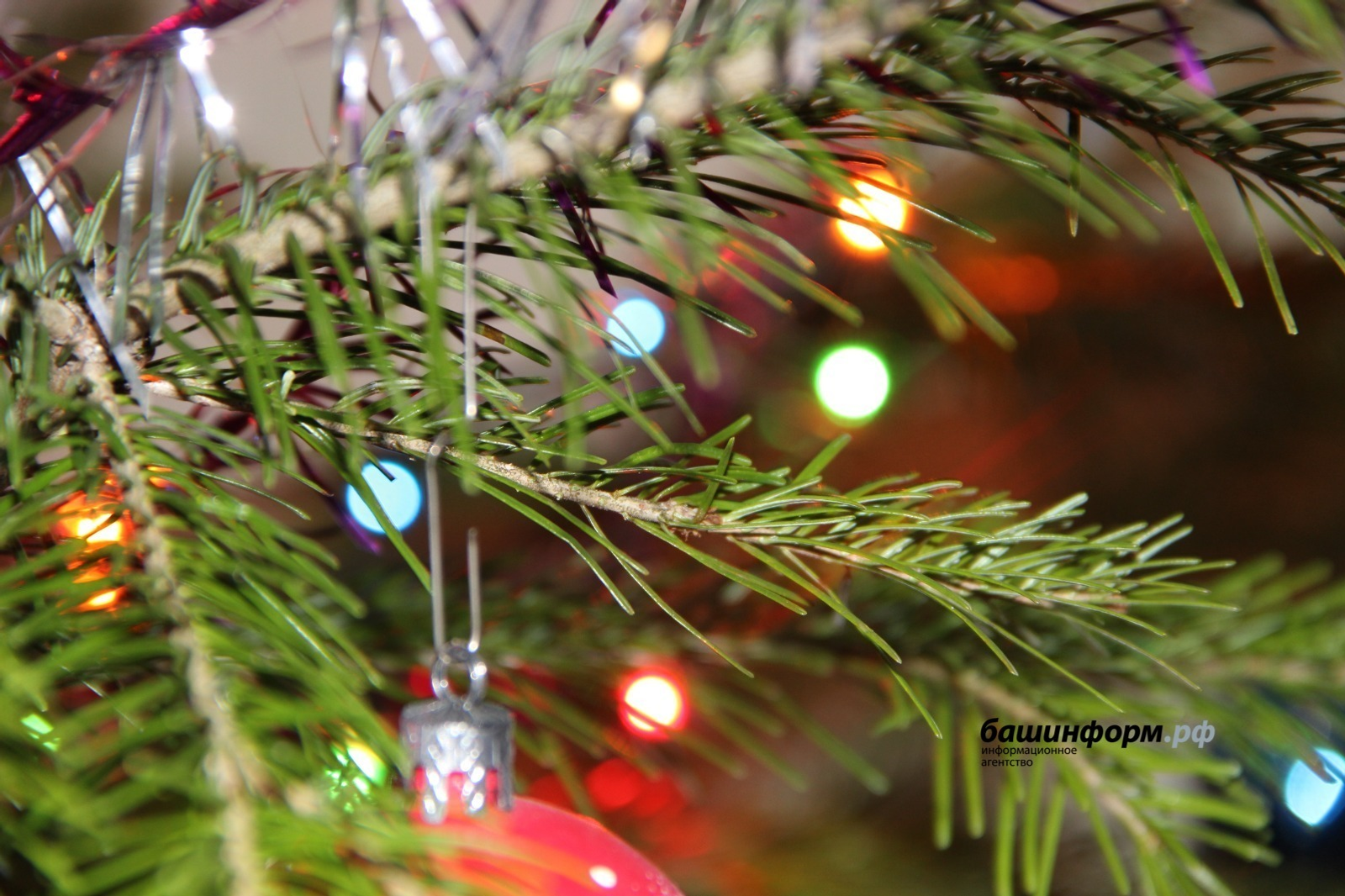 «Башинформ» мәғлүмәт агентлығы