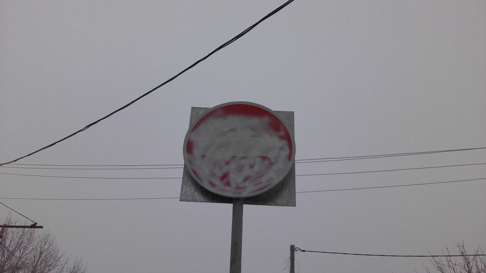 Дарья Субботина