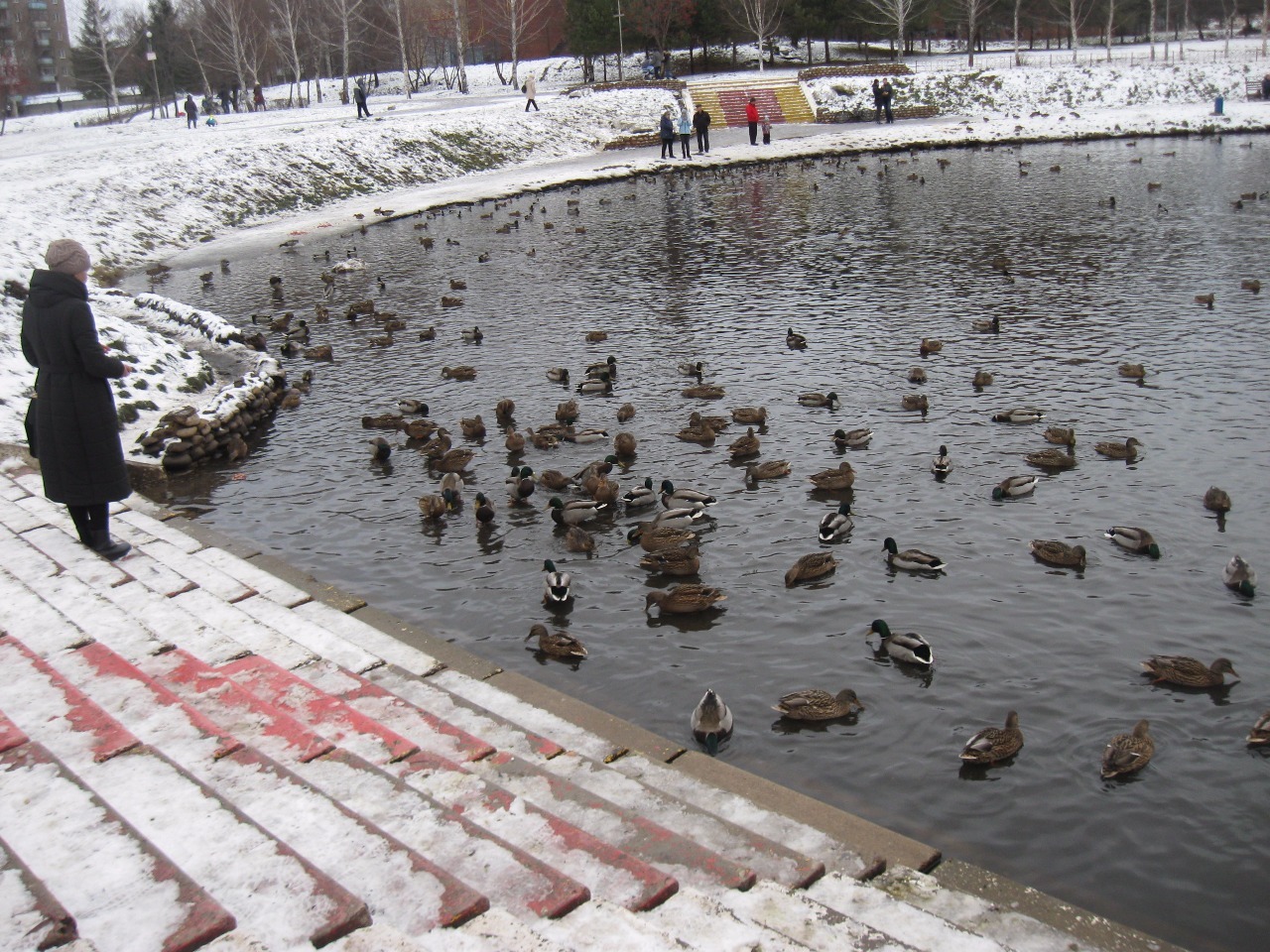 первомайский парк уфа зимой