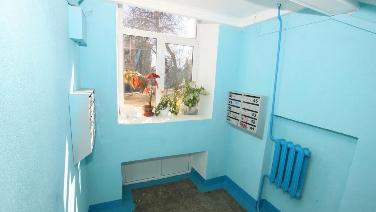 Валерий Шахов