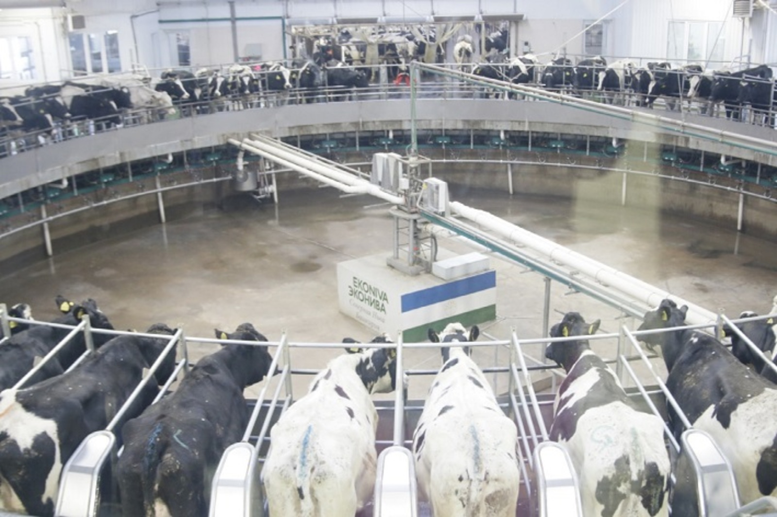 Крупные молочные проекты Башкирии могут рассчитывать на федеральную поддержку