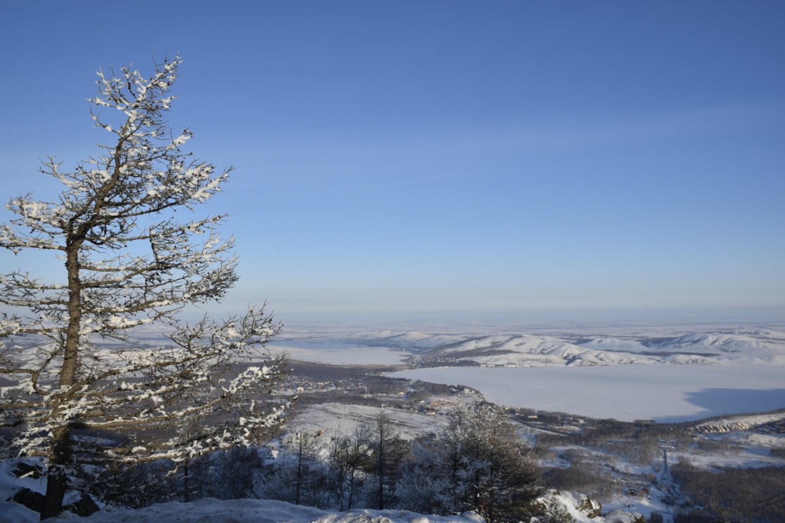 Галина Бахшиева, REA