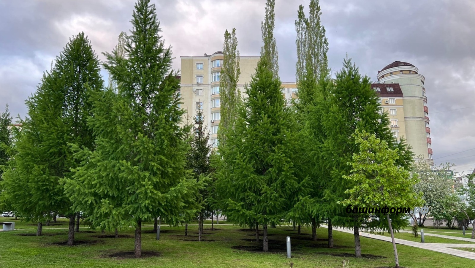 Ксения Калинина