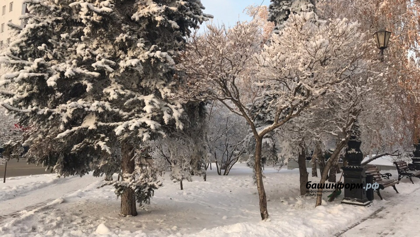 Ксения Калинина
